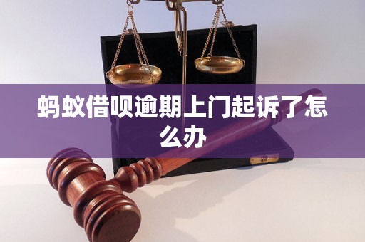 蚂蚁借呗逾期上门起诉了怎么办