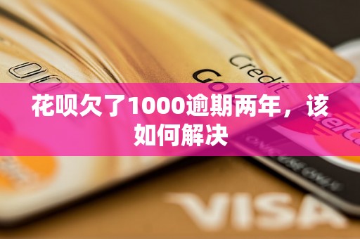 花呗欠了1000逾期两年，该如何解决