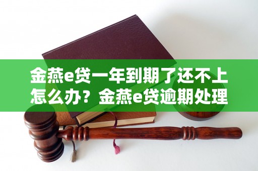 金燕e贷一年到期了还不上怎么办？金燕e贷逾期处理办法详解