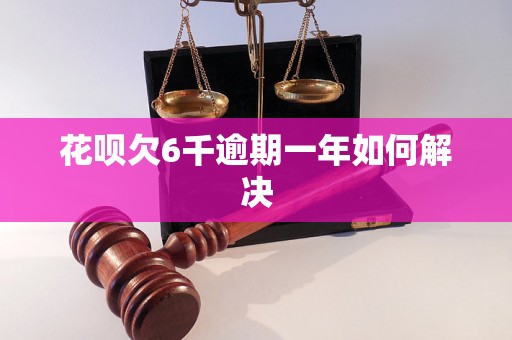 花呗欠6千逾期一年如何解决