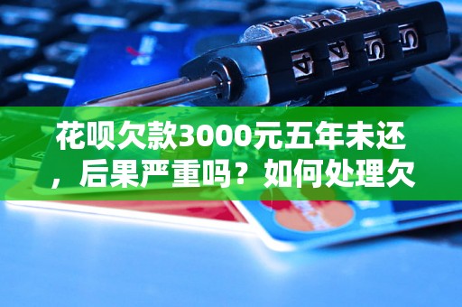 花呗欠款3000元五年未还，后果严重吗？如何处理欠款问题？