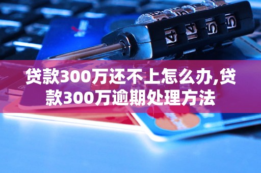 贷款300万还不上怎么办,贷款300万逾期处理方法