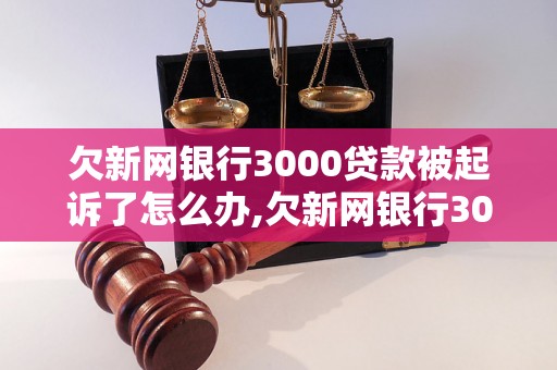 欠新网银行3000贷款被起诉了怎么办,欠新网银行3000被起诉了应该如何应对