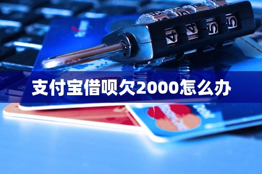 支付宝借呗欠2000怎么办