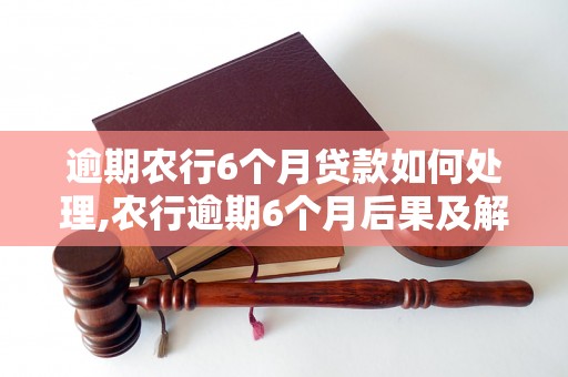 逾期农行6个月贷款如何处理,农行逾期6个月后果及解决办法