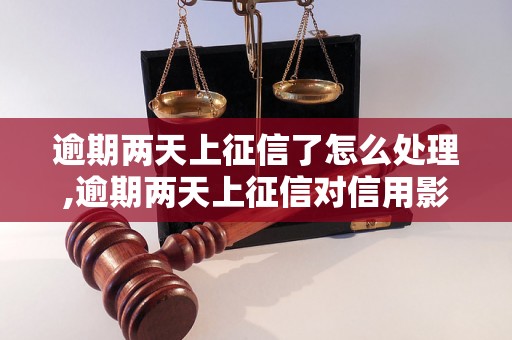 逾期两天上征信了怎么处理,逾期两天上征信对信用影响大吗