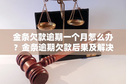 金条欠款逾期一个月怎么办？金条逾期欠款后果及解决办法