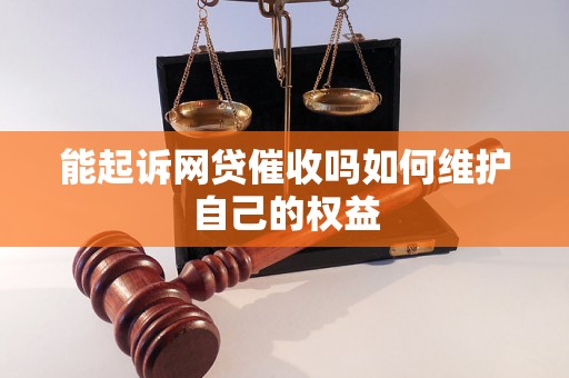 能起诉网贷催收吗如何维护自己的权益