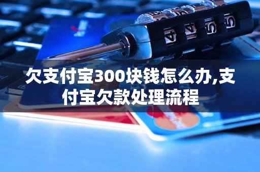 欠支付宝300块钱怎么办,支付宝欠款处理流程