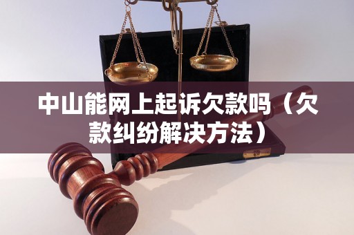 中山能网上起诉欠款吗（欠款纠纷解决方法）