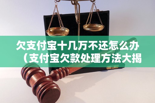 欠支付宝十几万不还怎么办（支付宝欠款处理方法大揭秘）