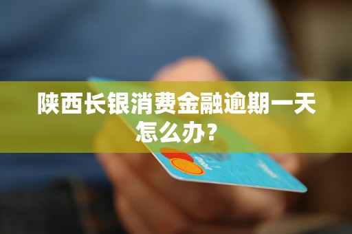 陕西长银消费金融逾期一天怎么办？