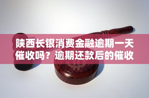 陕西长银消费金融逾期一天催收吗？逾期还款后的催收流程解析