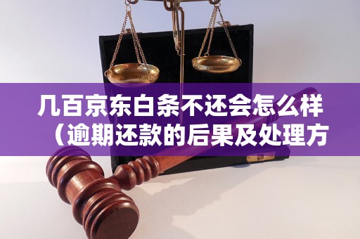 几百京东白条不还会怎么样（逾期还款的后果及处理方法）