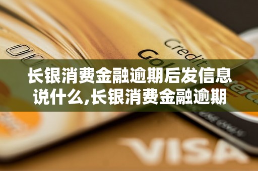 长银消费金融逾期后发信息说什么,长银消费金融逾期催收信息内容