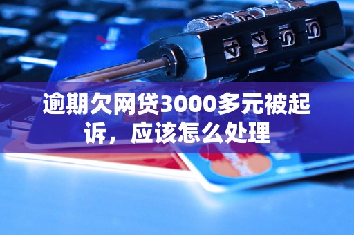 逾期欠网贷3000多元被起诉，应该怎么处理