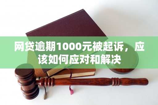 网贷逾期1000元被起诉，应该如何应对和解决