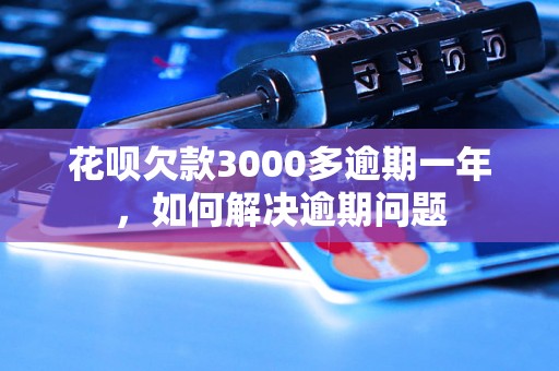 花呗欠款3000多逾期一年，如何解决逾期问题