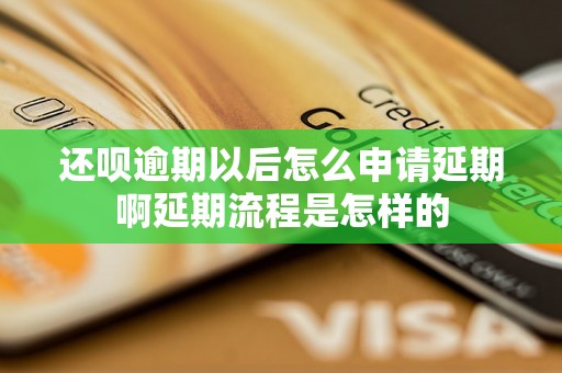 还呗逾期以后怎么申请延期啊延期流程是怎样的