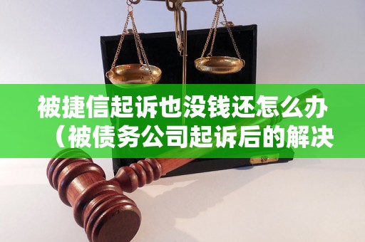 被捷信起诉也没钱还怎么办（被债务公司起诉后的解决方法）