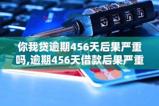 你我贷逾期456天后果严重吗,逾期456天借款后果严重吗