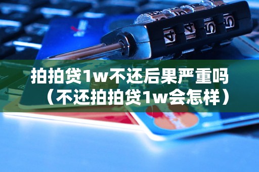 拍拍贷1w不还后果严重吗（不还拍拍贷1w会怎样）