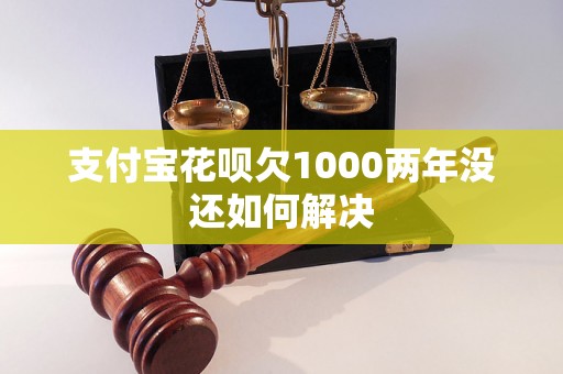 支付宝花呗欠1000两年没还如何解决