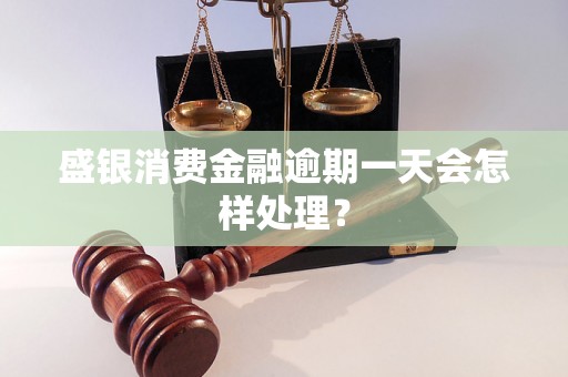 盛银消费金融逾期一天会怎样处理？