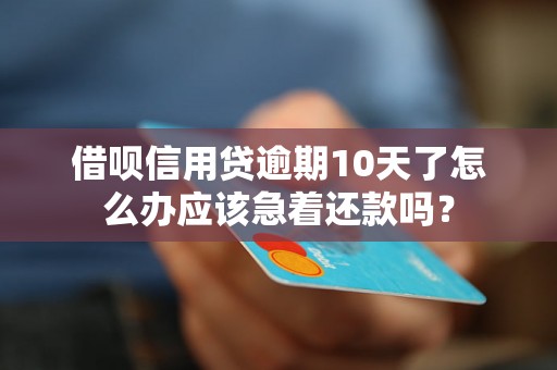 借呗信用贷逾期10天了怎么办应该急着还款吗？