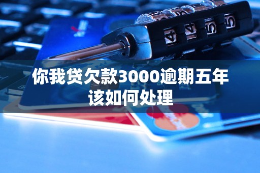 你我贷欠款3000逾期五年该如何处理