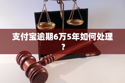 支付宝逾期6万5年如何处理？