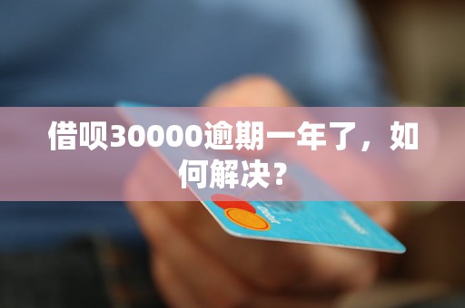 借呗30000逾期一年了，如何解决？