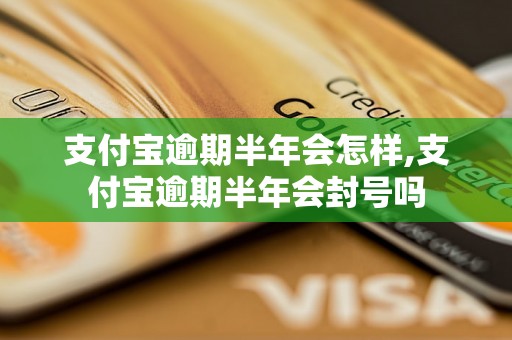 支付宝逾期半年会怎样,支付宝逾期半年会封号吗