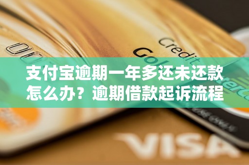 支付宝逾期一年多还未还款怎么办？逾期借款起诉流程解析