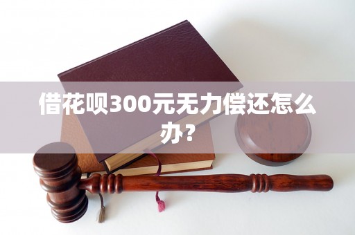 借花呗300元无力偿还怎么办？