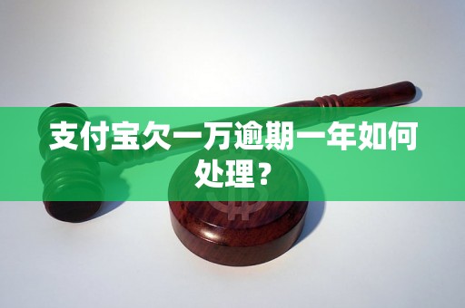 支付宝欠一万逾期一年如何处理？