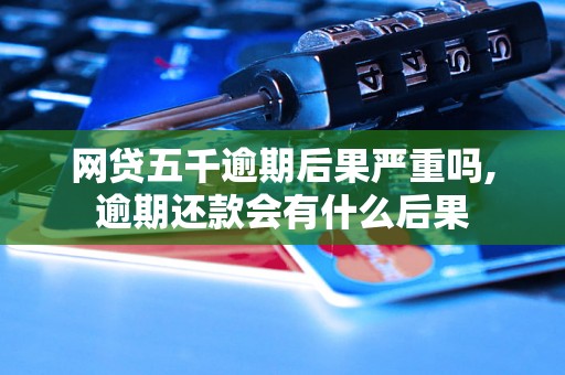 网贷五千逾期后果严重吗,逾期还款会有什么后果