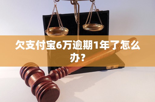 欠支付宝6万逾期1年了怎么办？