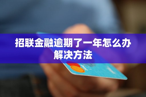 招联金融逾期了一年怎么办解决方法