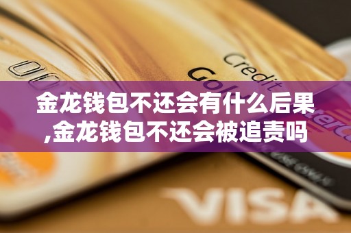 金龙钱包不还会有什么后果,金龙钱包不还会被追责吗