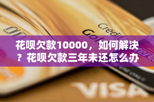 花呗欠款10000，如何解决？花呗欠款三年未还怎么办？