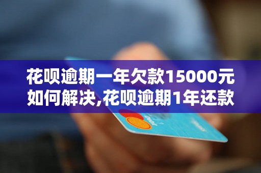 花呗逾期一年欠款15000元如何解决,花呗逾期1年还款途径