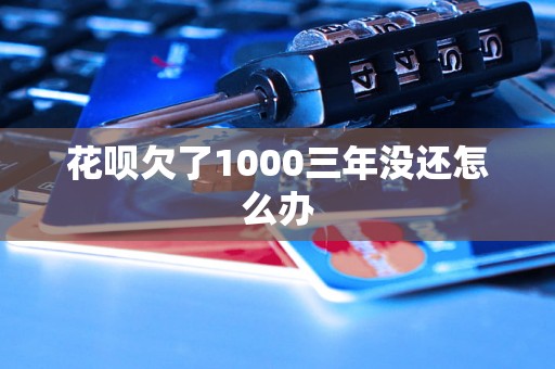 花呗欠了1000三年没还怎么办