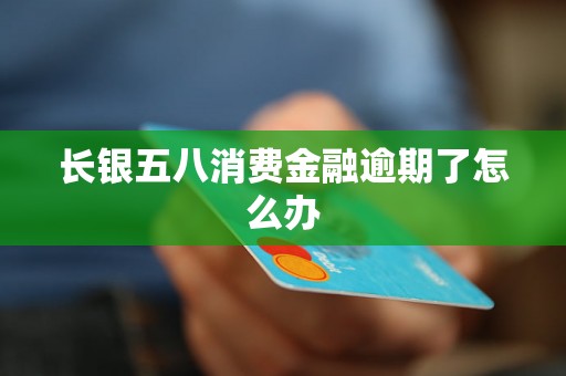 长银五八消费金融逾期了怎么办