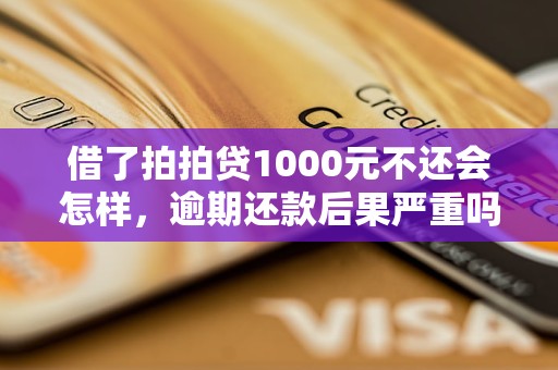 借了拍拍贷1000元不还会怎样，逾期还款后果严重吗？