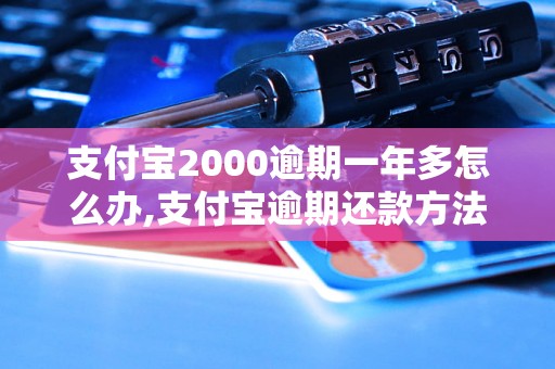 支付宝2000逾期一年多怎么办,支付宝逾期还款方法及注意事项