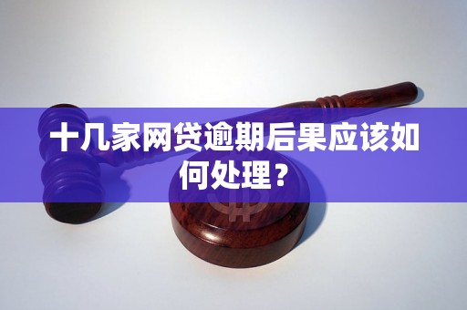 十几家网贷逾期后果应该如何处理？