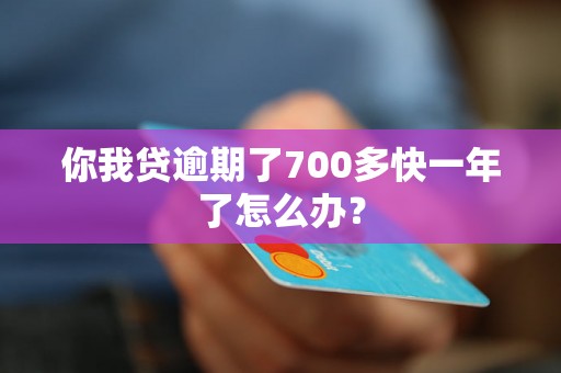 你我贷逾期了700多快一年了怎么办？