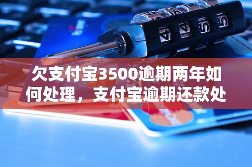 欠支付宝3500逾期两年如何处理，支付宝逾期还款处理方式