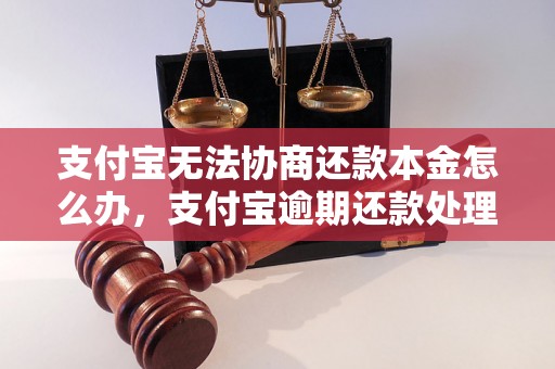 支付宝无法协商还款本金怎么办，支付宝逾期还款处理方法